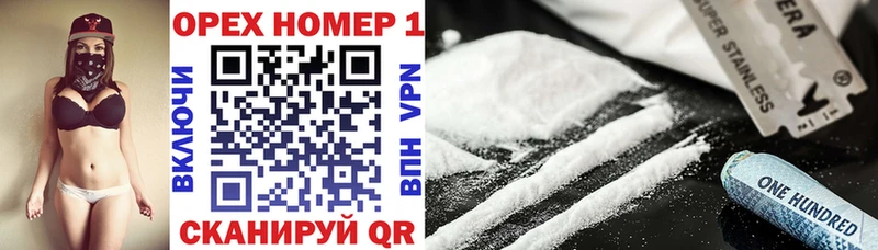 где продают   Плёс  Cocaine Fish Scale 