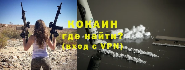 ГАЛЛЮЦИНОГЕННЫЕ ГРИБЫ Гусь-Хрустальный