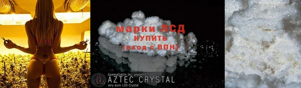 ГАЛЛЮЦИНОГЕННЫЕ ГРИБЫ Гусь-Хрустальный