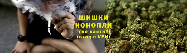 ГАЛЛЮЦИНОГЕННЫЕ ГРИБЫ Гусь-Хрустальный