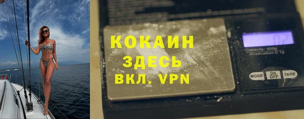 ГАЛЛЮЦИНОГЕННЫЕ ГРИБЫ Гусь-Хрустальный