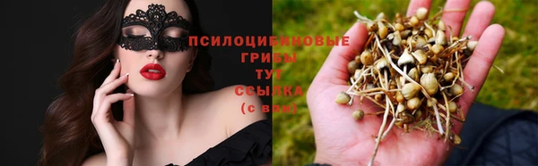 ГАЛЛЮЦИНОГЕННЫЕ ГРИБЫ Гусь-Хрустальный
