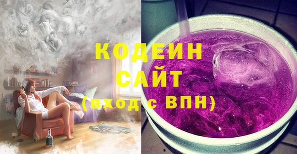 ГАЛЛЮЦИНОГЕННЫЕ ГРИБЫ Гусь-Хрустальный