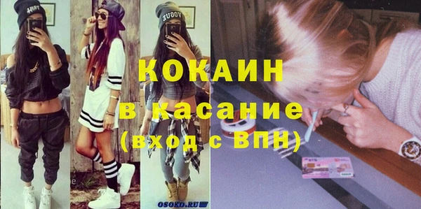 ГАЛЛЮЦИНОГЕННЫЕ ГРИБЫ Гусь-Хрустальный