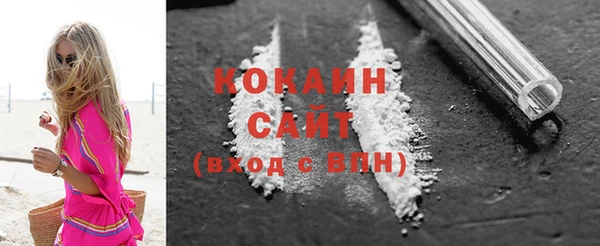 ГАЛЛЮЦИНОГЕННЫЕ ГРИБЫ Гусь-Хрустальный