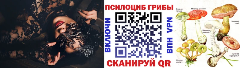 хочу   Плёс  Псилоцибиновые грибы прущие грибы 